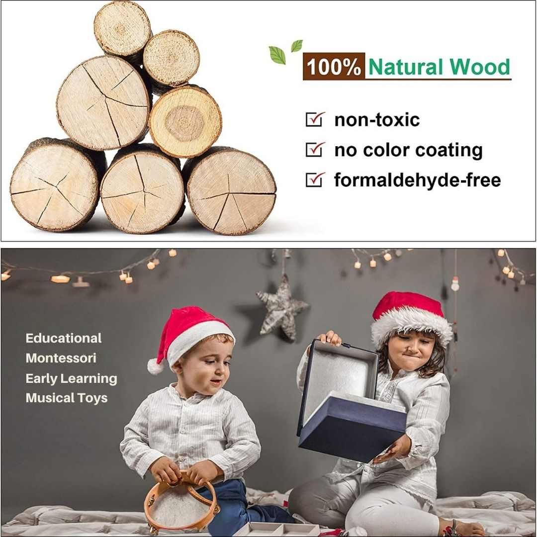 Montessori Wooden Music Exploration Kit (10 Instruments)
